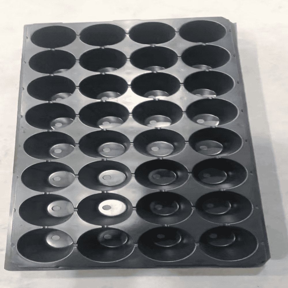 24-Cell Strawberry Seedling Tray