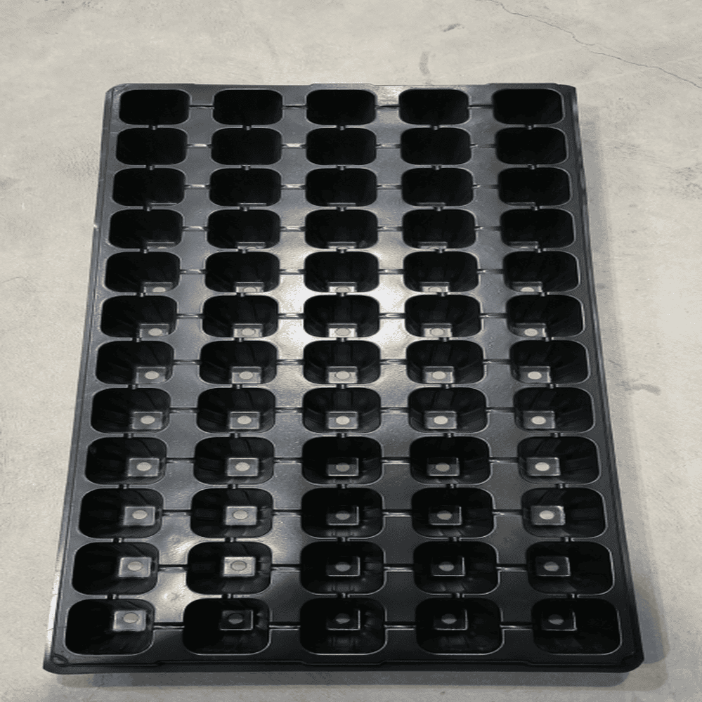 60-Cell Square Hole Tray